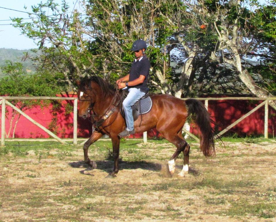 Pousada Fazendinha Búzios Exterior foto