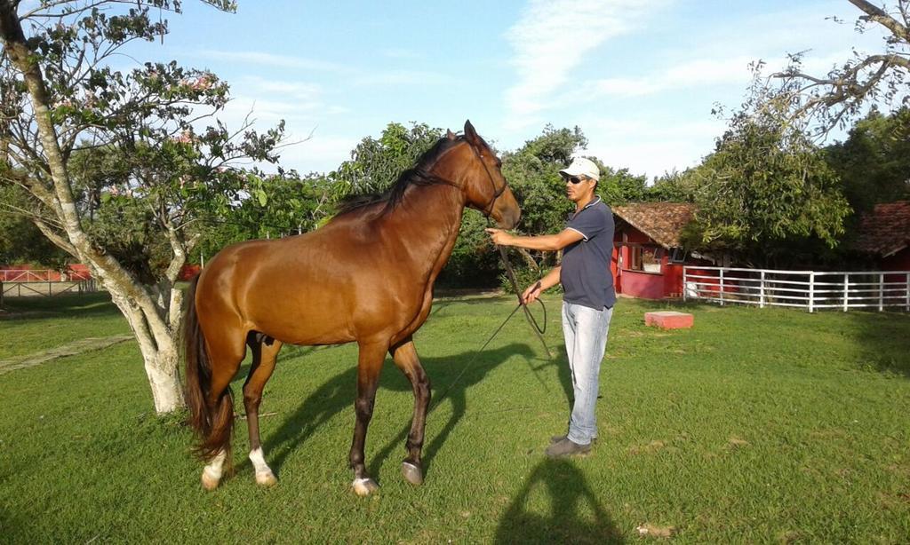 Pousada Fazendinha Búzios Exterior foto